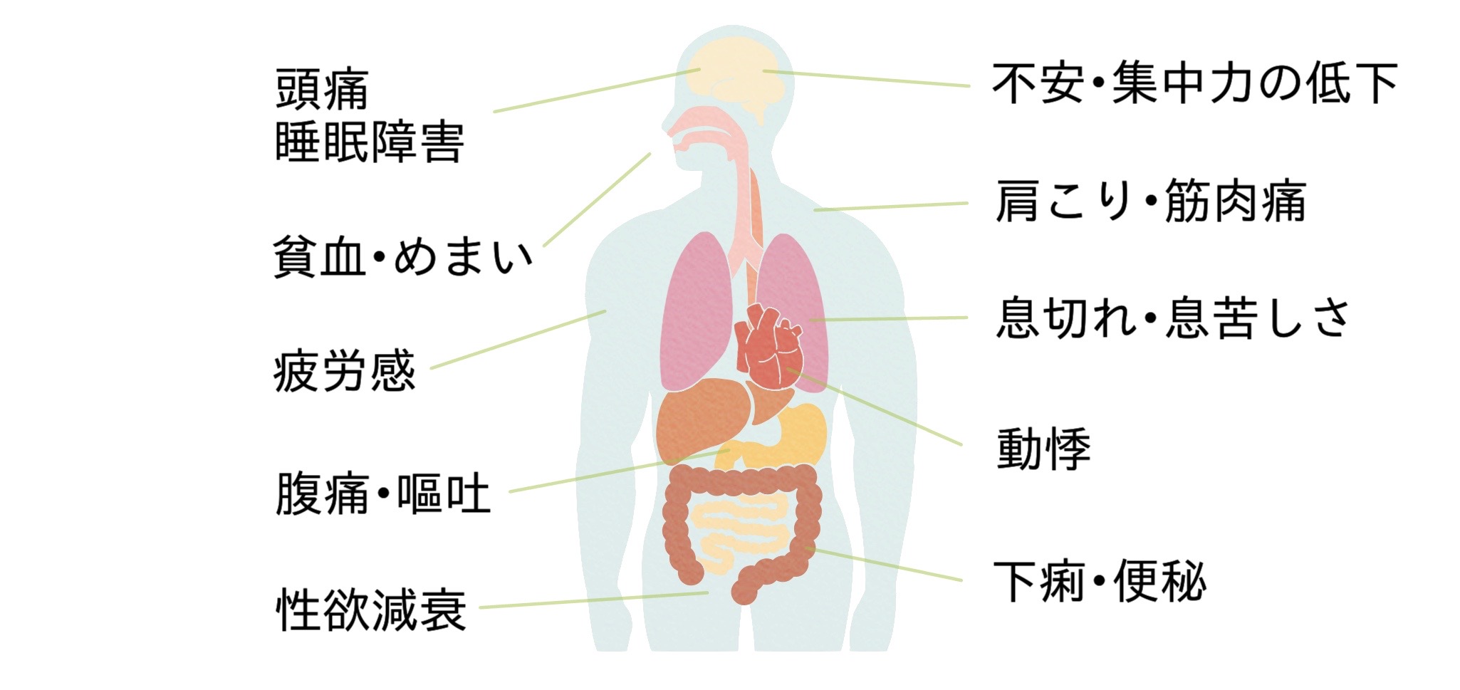 神経 乱れ 自律